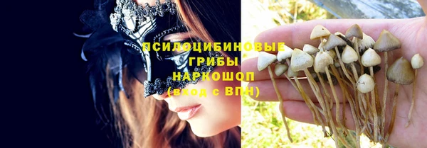 PSILOCYBIN Белокуриха