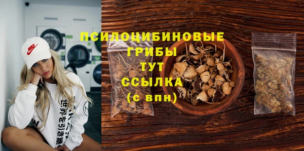 PSILOCYBIN Белокуриха