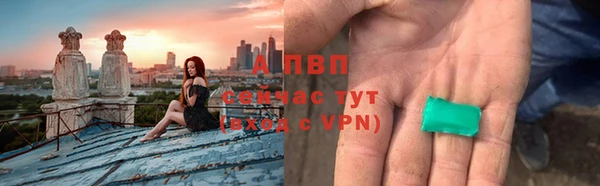 PSILOCYBIN Белокуриха