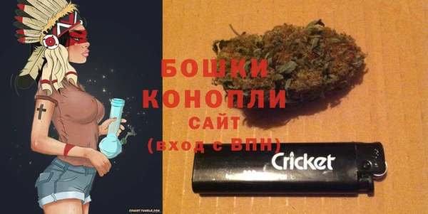 PSILOCYBIN Белокуриха