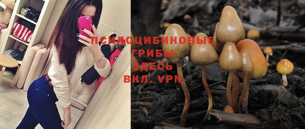 соль курить ск Протвино